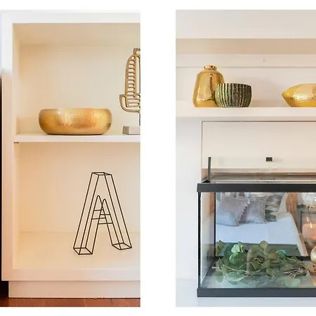 Charming Design For A Colourful *